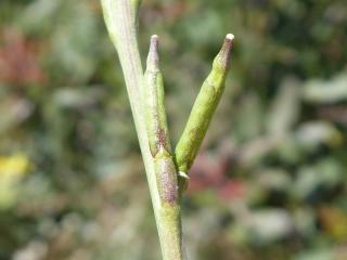 VTax1031.Ex1.Img6