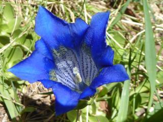 VTax2279.Ex1.Img1