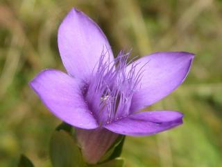 VTax2283.Ex1.Img5