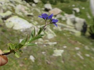 VTax2665.Ex1.Img1