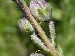 VTax2670.Ex1.Img4