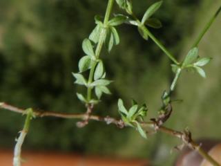 VTax2840.Ex1.Img3