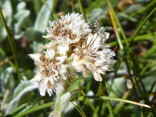 VTax3036.Ex1.Img3