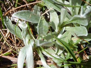 VTax3036.Ex1.Img5