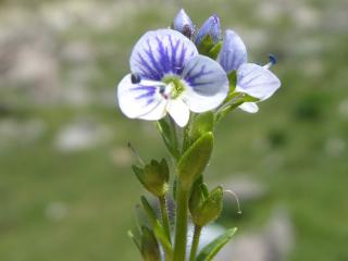 VTax4765.Ex2.Img2