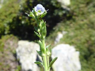 VTax4765.Ex2.Img4