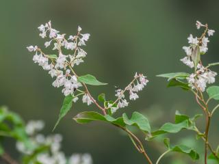 VTax4784.ExN_.Img7_