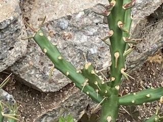 VTax4785.ExN_.Img2_