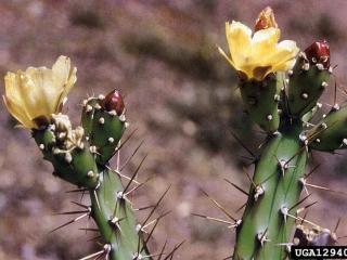 VTax4785.ExN_.Img3_