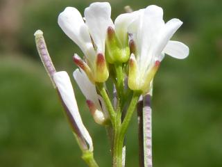 VTax1074.Ex1.Img3