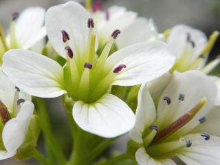 VTax1082.Ex1.Img3