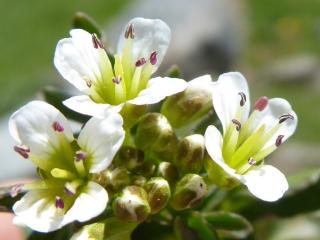 VTax1082.Ex1.Img6