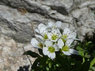 VTax1082.Ex3.Img1