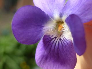 VTax1283.Ex1.Img1
