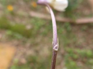 VTax1283.Ex1.Img5