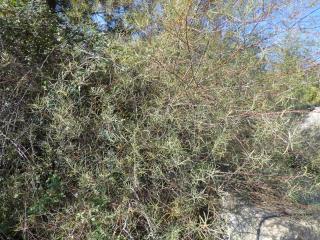 VTax1679.Ex1.Img1