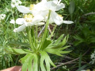 VTax190.Ex1.Img6