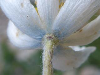 VTax194.Ex1.Img6