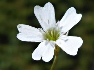 VTax2004.Ex1.Img3