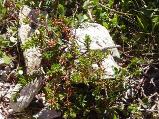 VTax2162.Ex1.Img3
