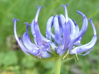 VTax2968.Ex1.Img3