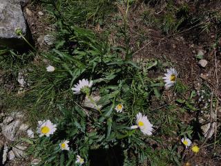 VTax3126.Ex1.Img7