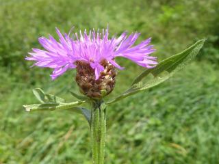 VTax3255.Ex1.Img4