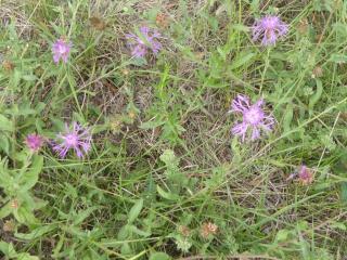 VTax3255.Ex1.Img5