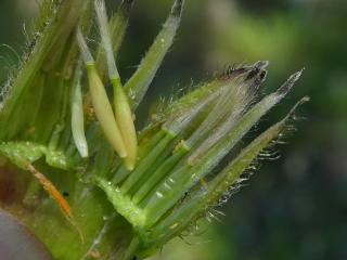 VTax3314.Ex1.Img7