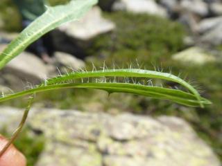 VTax3315.Ex1.Img4