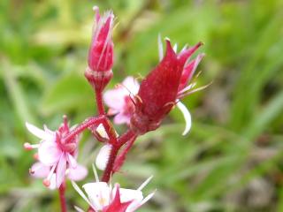 VTax352.Ex1.Img5