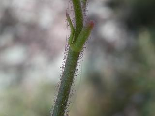 VTax353.Ex1.Img7
