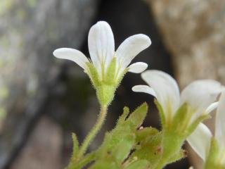 VTax356.Ex1.Img3