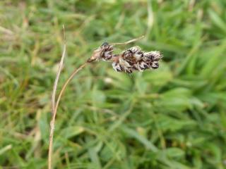 VTax3688.Ex1.Img1
