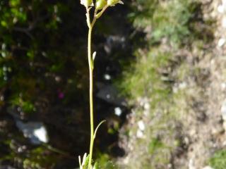 VTax369.Ex1.Img1