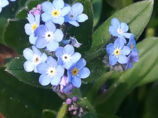 VTax2363.Ex1.Img3