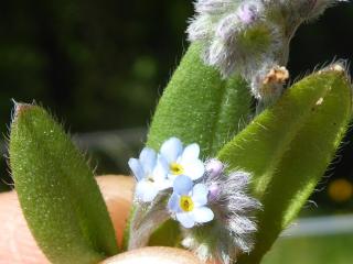 VTax2367.Ex2.Img3