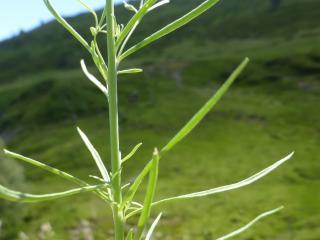VTax2614.Ex1.Img3