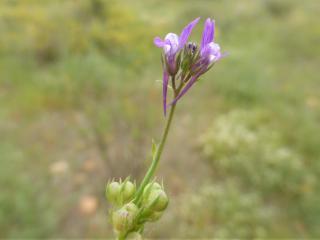 VTax2618.Ex1.Img1