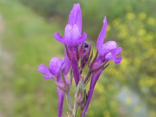 VTax2618.Ex1.Img2