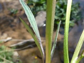 VTax267.Ex2.Img3