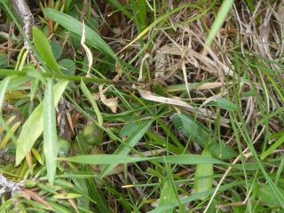 VTax2956.Ex1.Img6