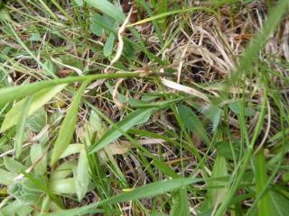 VTax2956.Ex1.Img8