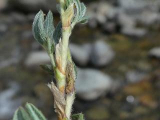 VTax440.Ex2.Img11