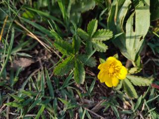 VTax456.Ex1.Img2