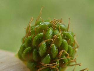VTax464.Ex1.Img1