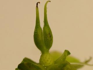 VTax156.Ex1.Img3