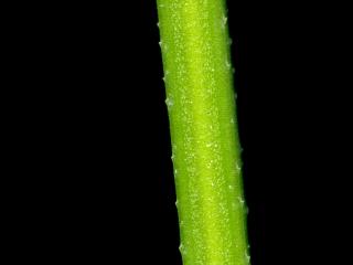 VTax2859.ExN.Img9