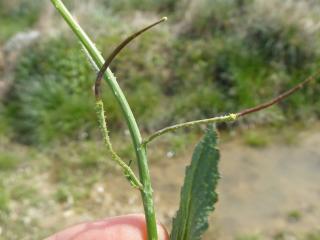 Img.VTax1044.Ex1.Img5