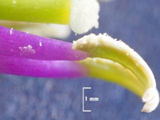 Img.VTax1072.Ex3.Img1